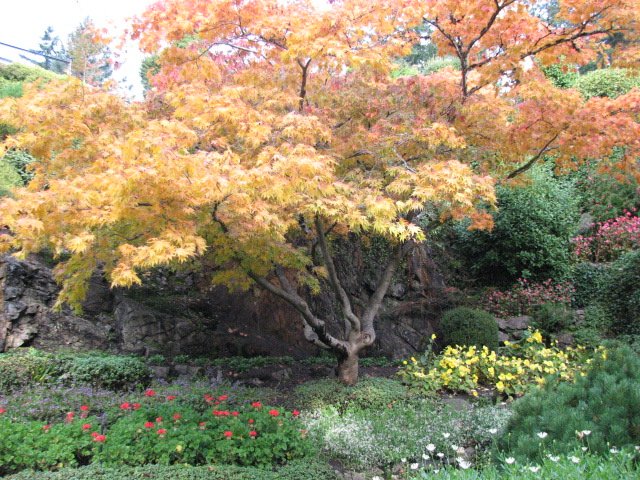 img_3266.jpg