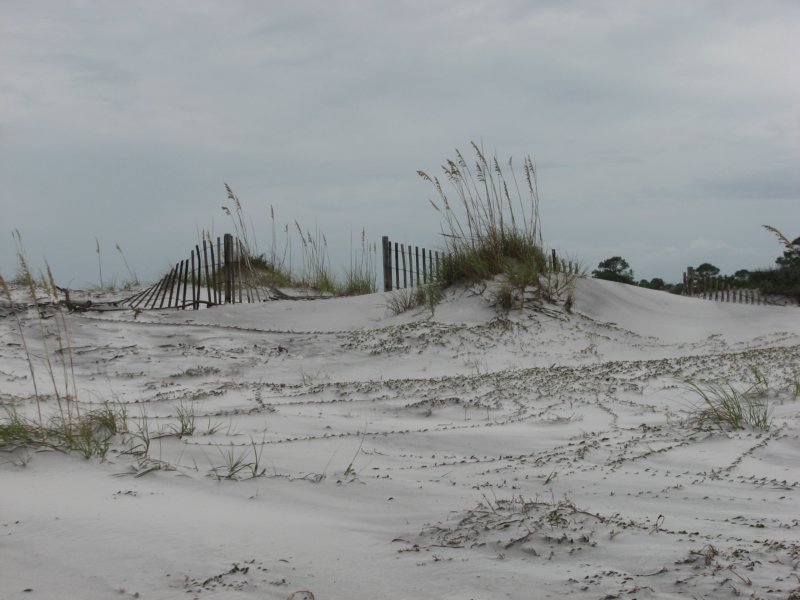 topsailhillpreserveprotectedsanddunes.jpg