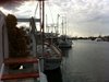 Tarpon Springs Harbor