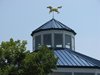 Coolidge Park - Chattanooga 