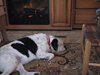 Hanni relaxing in front of the fake RV fireplace