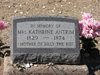 Silver City, NM - Final Resting Place for Billy the Kid's Mom