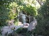Albuquerque, NM - Botanical Japanese Gardens