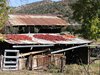 Silver City, NM heading to the Gila Cave Dwelling - Peppers drying on barn roof