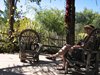 Albuquerque, NM - Deb in Botanical Gardens