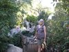 Albuquerque, NM - Deb in Botanical Japanese Gardens