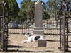 Silver City, NM - Hanni guarding the tomb