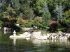 Albuquerque, NM - Botanical Japanese Gardens