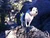 Hanni Posing for Picture Atop Rock Outcrop