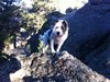 Hanni Climbing Rocks in the Black Hills