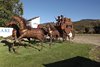 Stagecoach on Road From Temecula