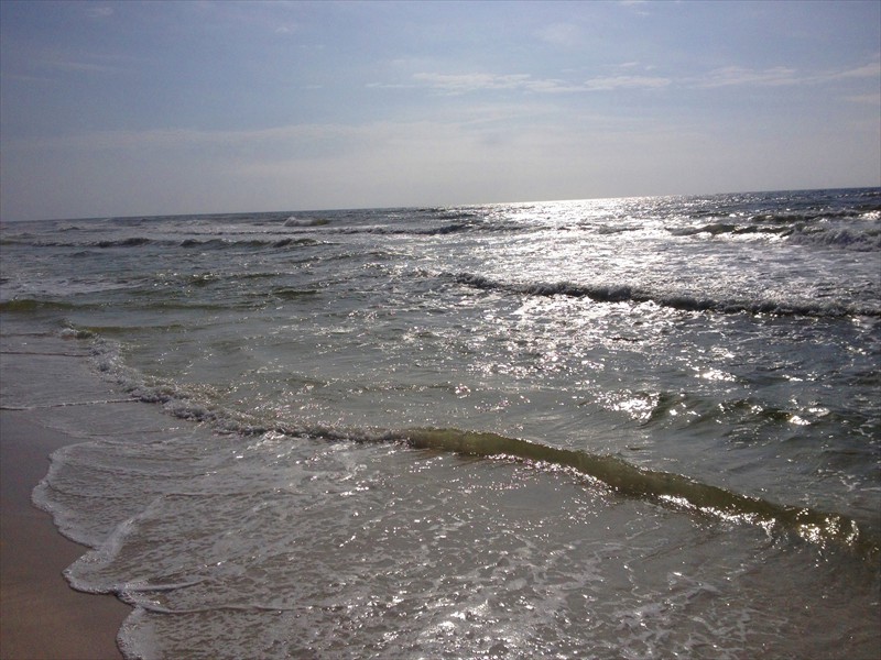 Sandestin beach