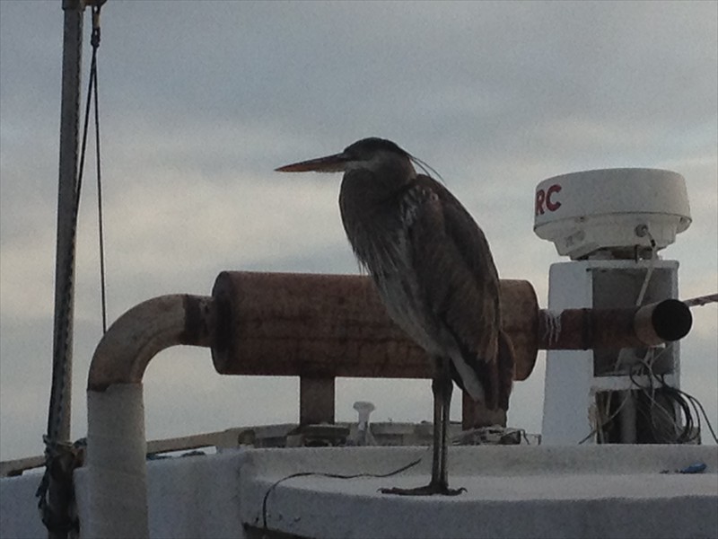 Behind Harbor Docks in Destin