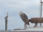 Behind Harbor Docks in Destin