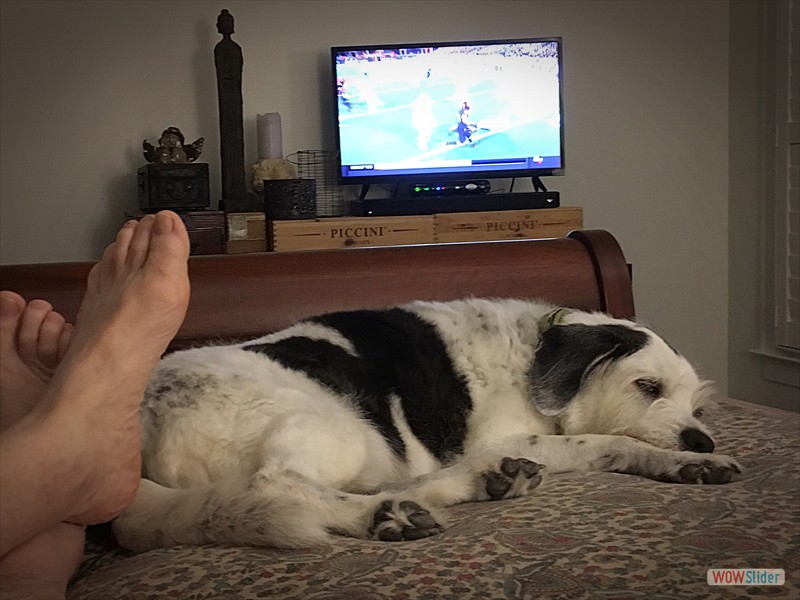 Hanni relaxing at foot of bed