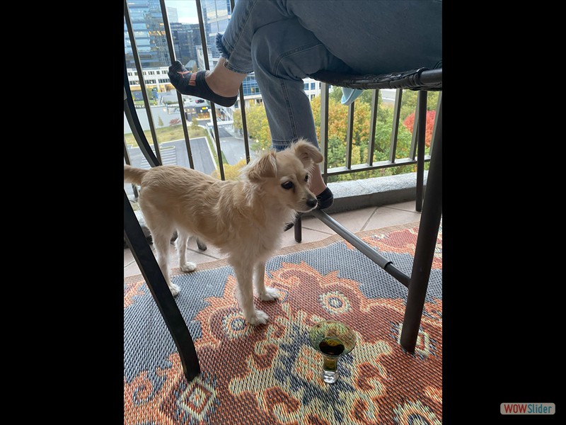 Karma enjoying a cocktail on balcony