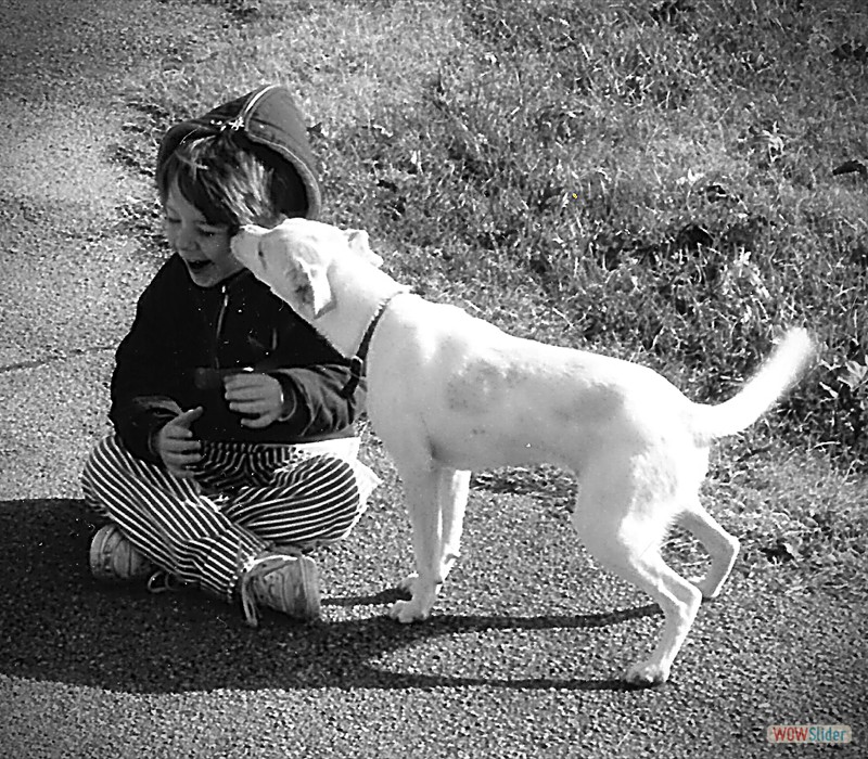 Tyler beling licked by white Dog